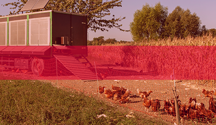 golddott mobilstallhalter 430x250